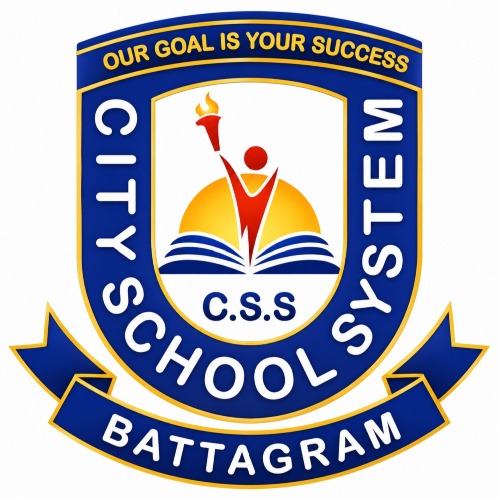 CSS Logo